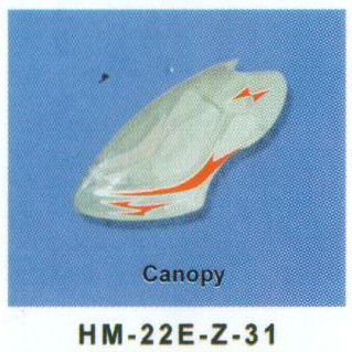 HM-22E - Z-31   CANOPY